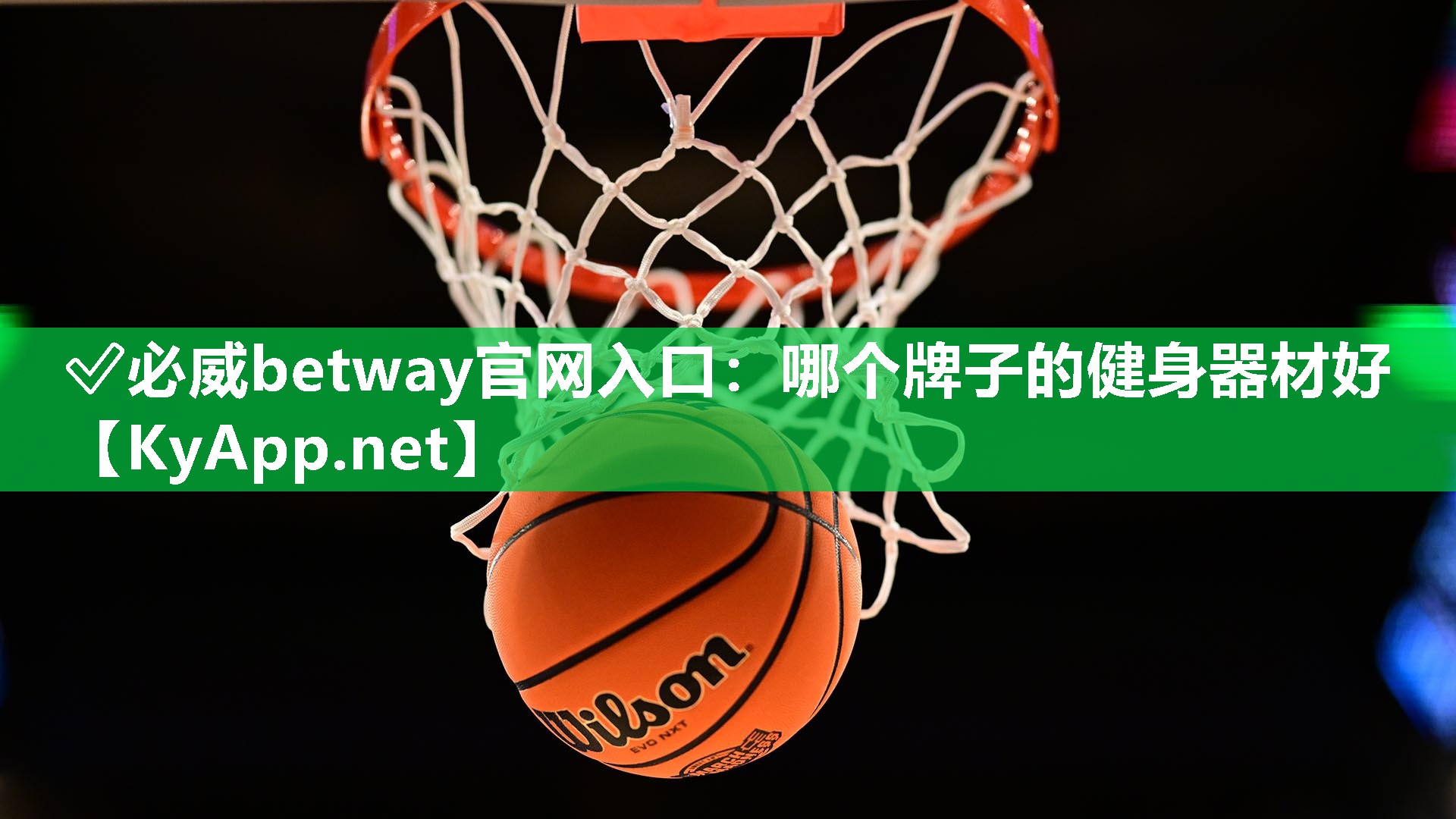 ?必威betway官網(wǎng)入口：哪個牌子的健身器材好