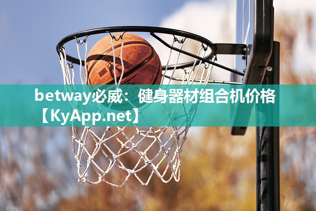 betway必威：健身器材組合機(jī)價格