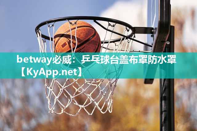 betway必威：乒乓球臺蓋布罩防水罩