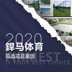 【回顧】2020年體育全年精選項目案例！